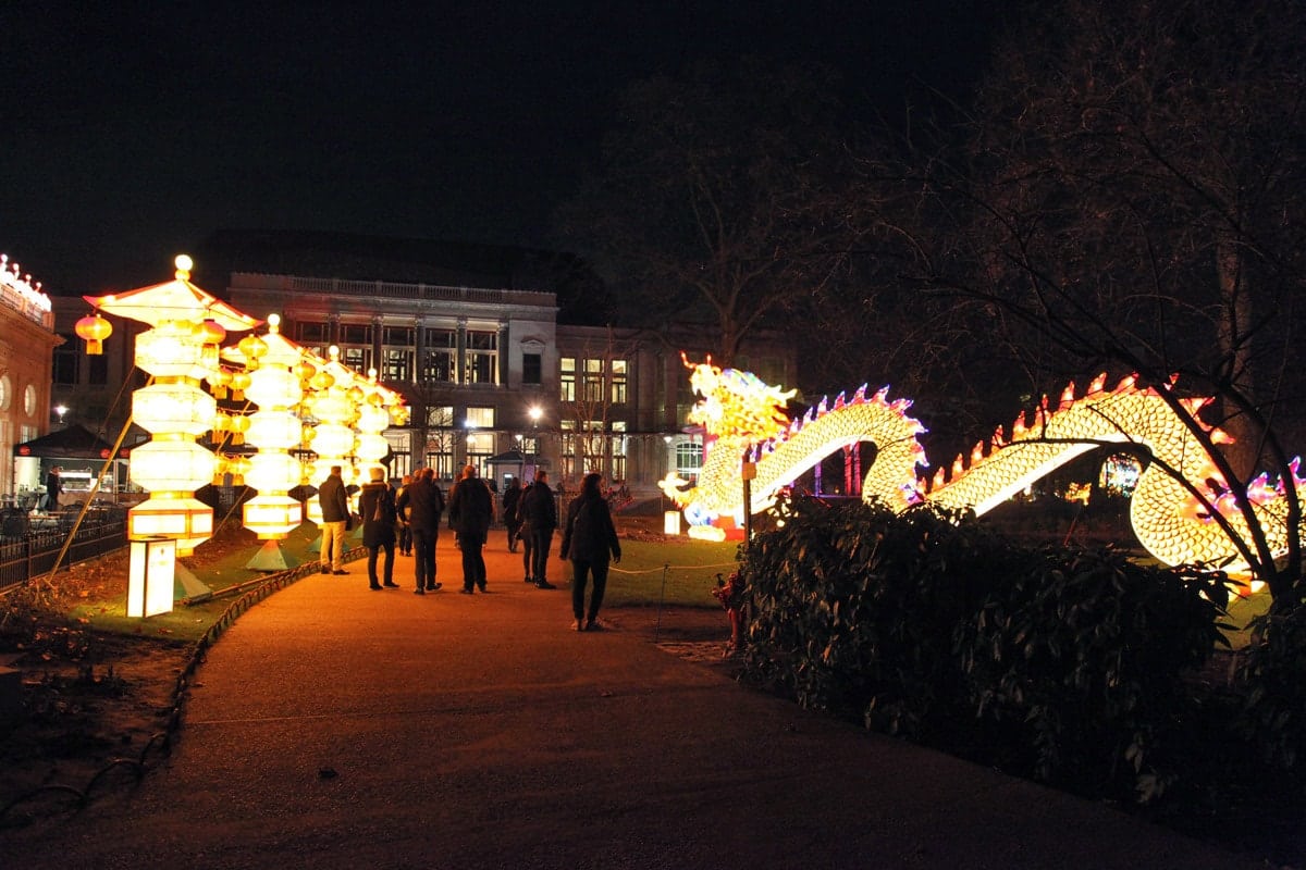 Lichtfestival Antwerpen dierentuin