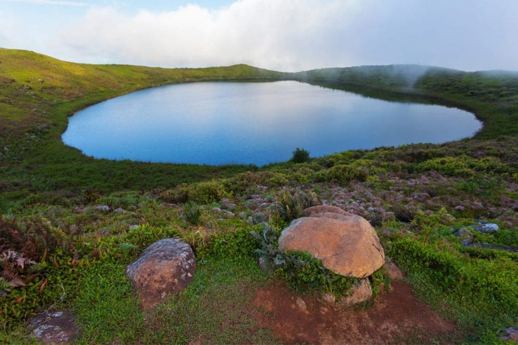 Galapagos eilanden natuur Galapagos eilanden natuur