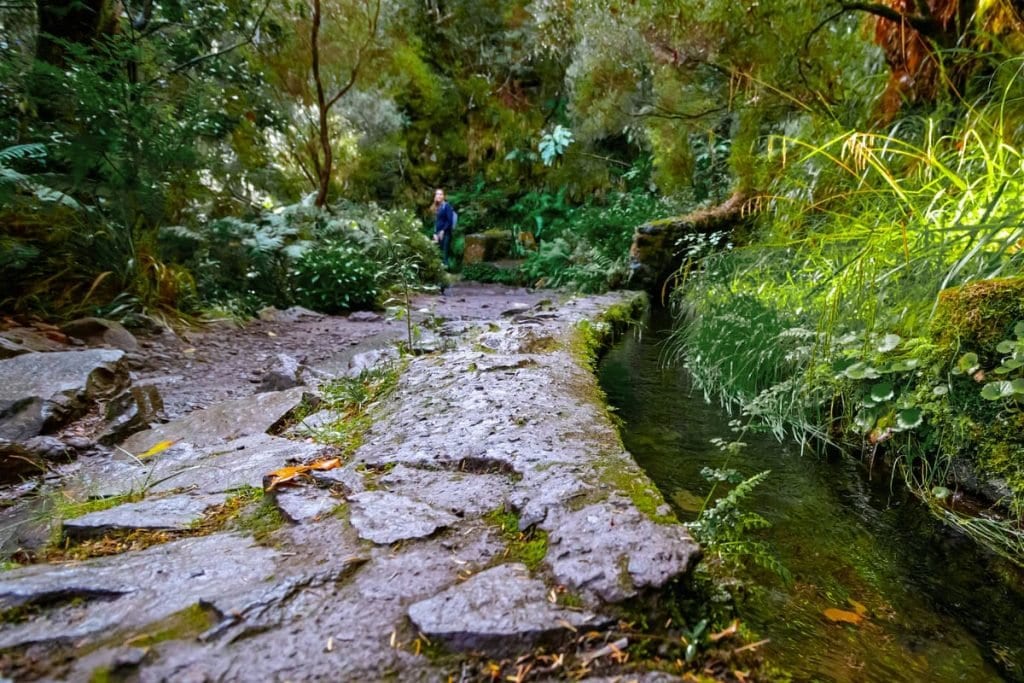 Levada wandeling Madeira