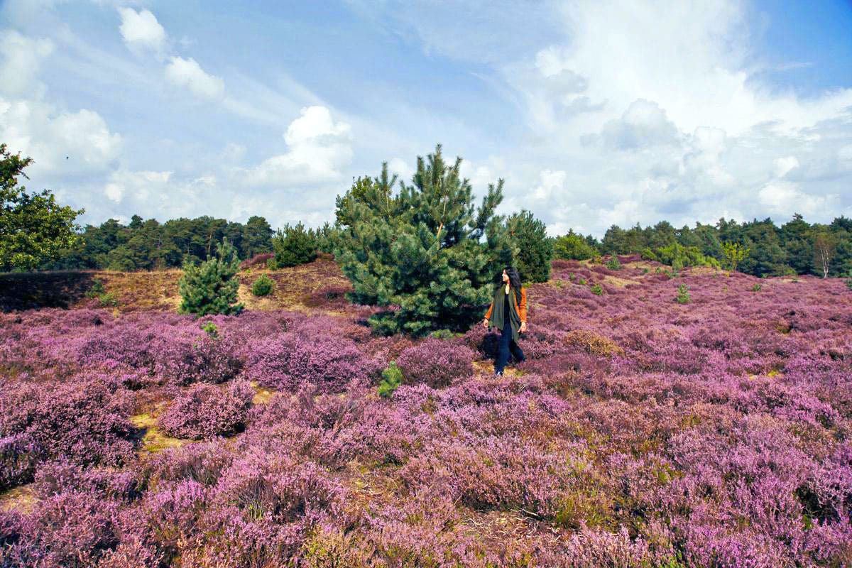 Rondje Nederland - Posbank