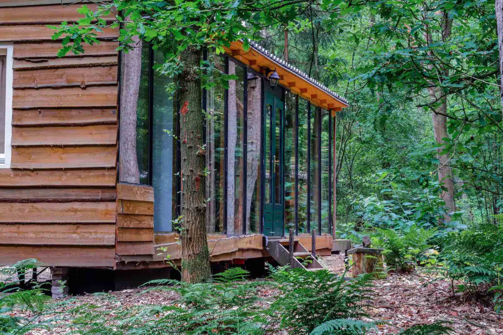 Boshuisje Veluwe in de natuur