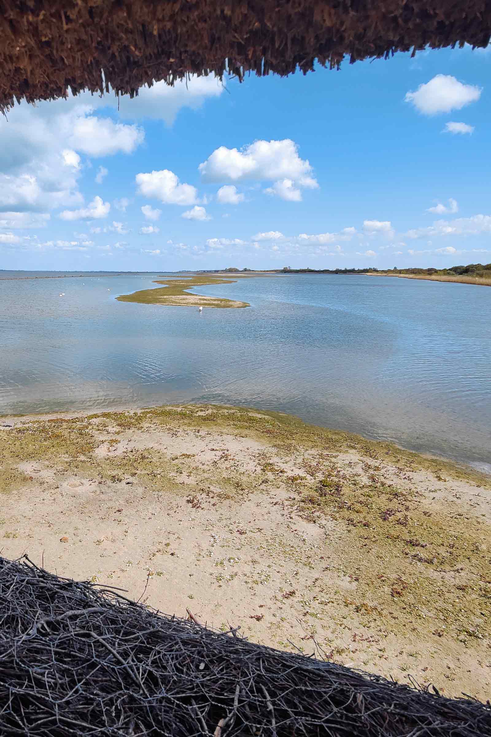 Vogels spotten op Goeroe