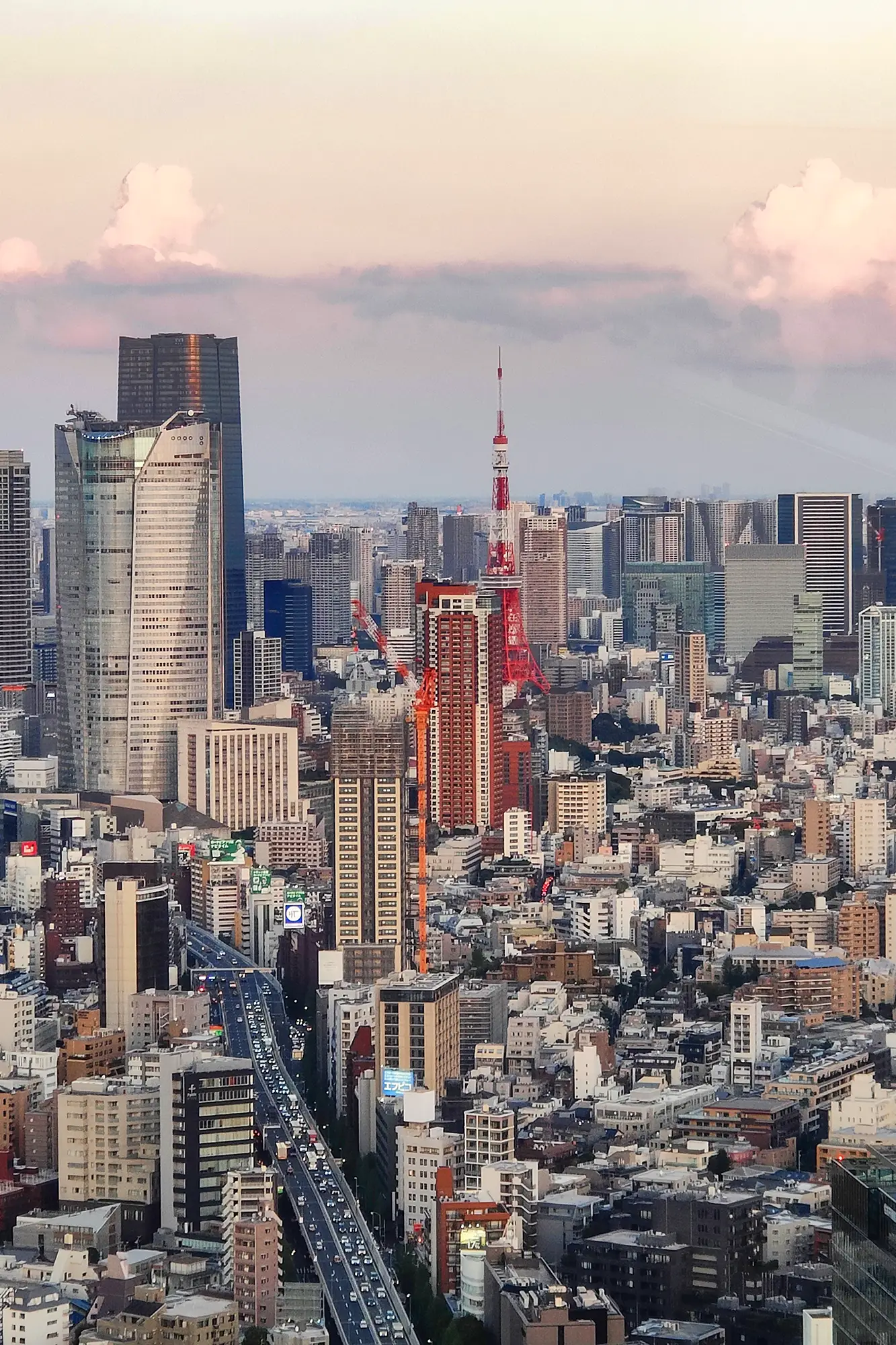 doen in tokyo shibuya sky viewpoing bezienswaardigheden in tokyo