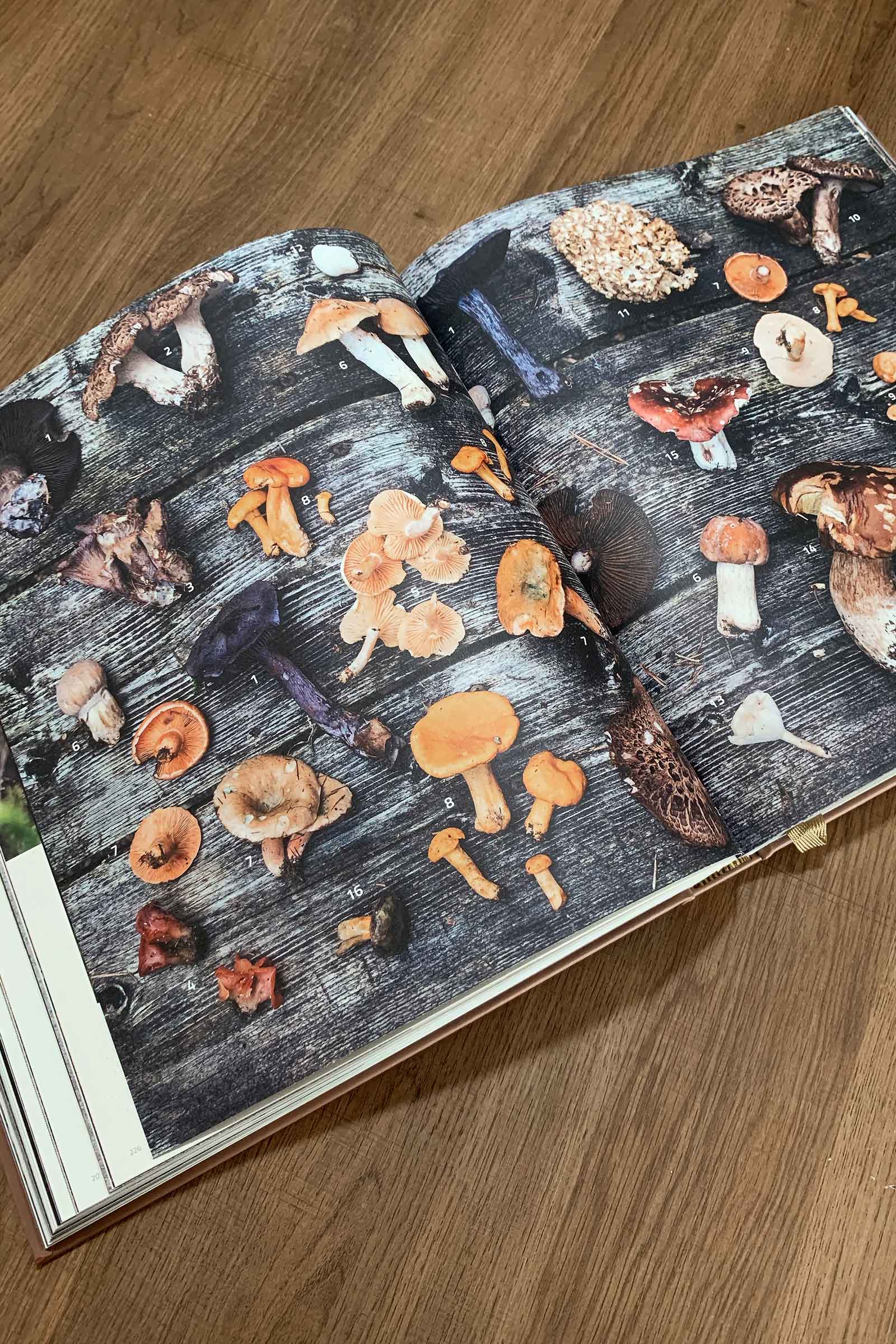 Kookboek Cook the Mountain kookboek van Norbert Niederkofler